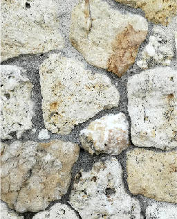 琉球石灰岩岩